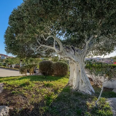 Апартаменты Marconi 12 Attico *